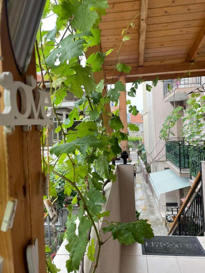 Rodos House Hotel Pomorie Exterior photo